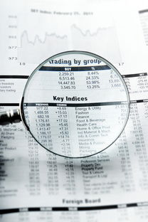 白银同志供卵选性别：nt值偏高风险大吗下一步检查什么？